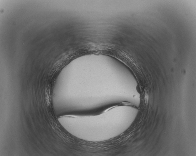 X0000083661348200702201449