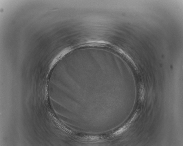 X0000083661362200702201449