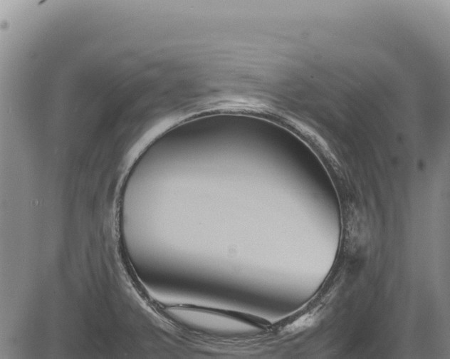 X0000083661375200702201449