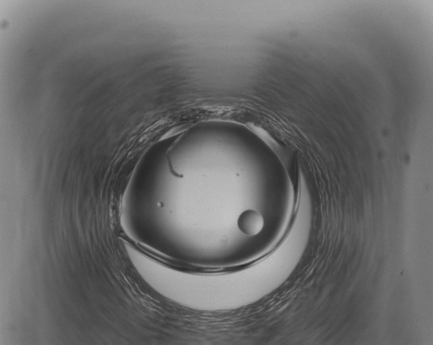 X0000083661394200702201448