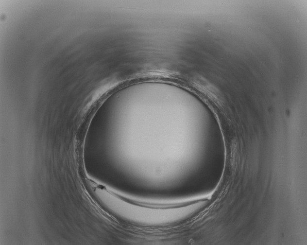 X0000083661404200702201448