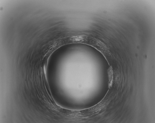 X0000083661442200702201448