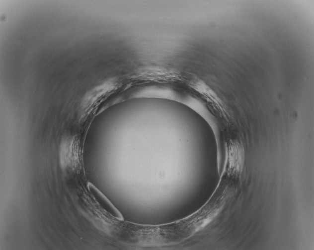 X0000083661444200702201448