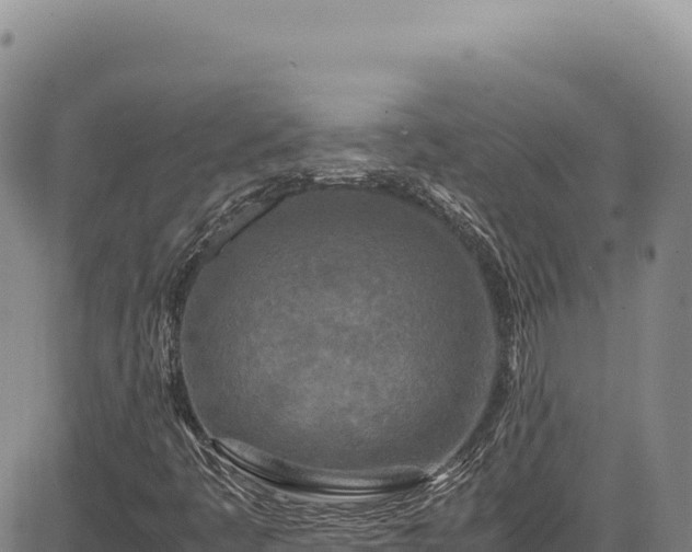 X0000083661445200702201448