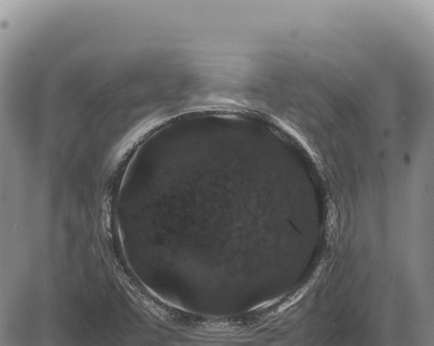 X0000083661455200702201447