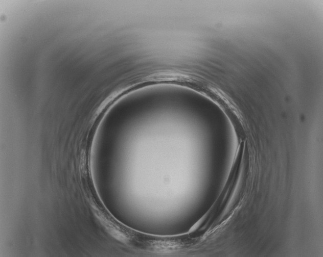 X0000083661465200702201447