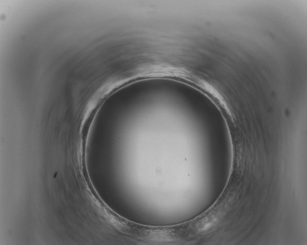 X0000083661472200702201447