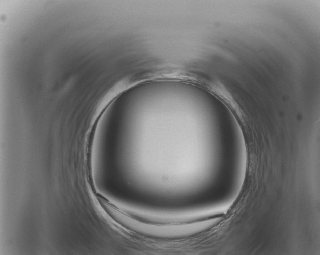X0000083661483200702201447