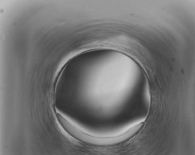 X0000083661531200702201447