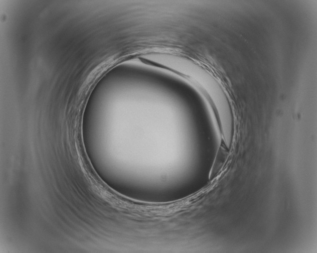 X0000083660001200702261153