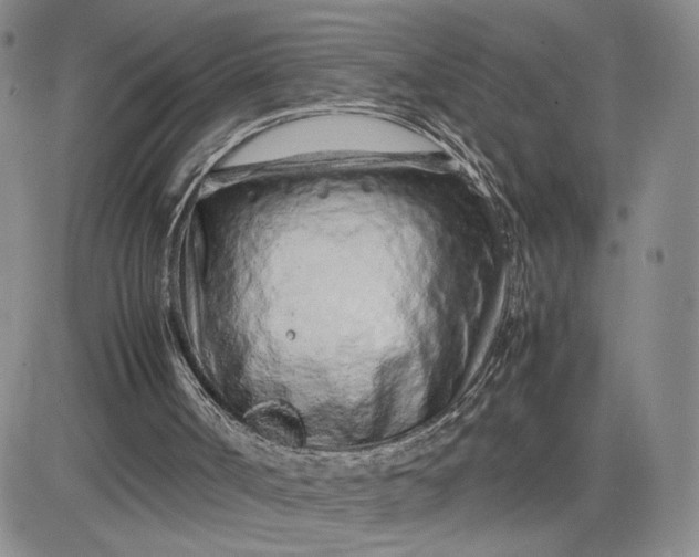 X0000083660002200702261153