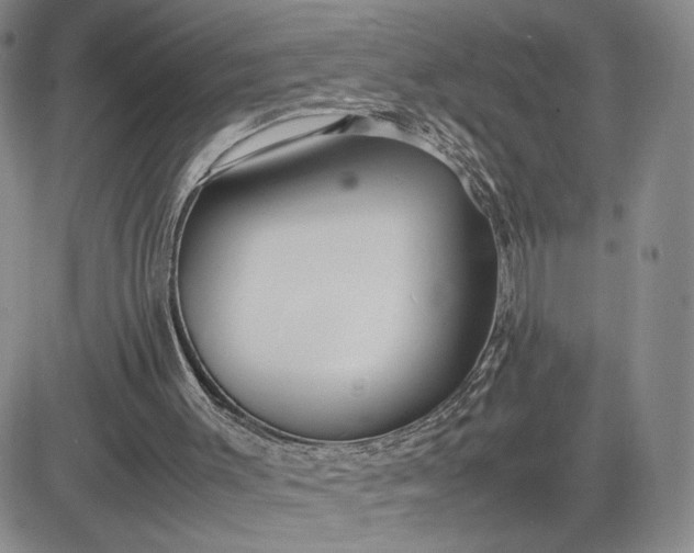 X0000083660003200702261153