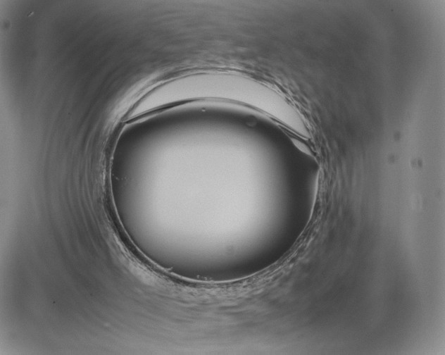 X0000083660005200702261153