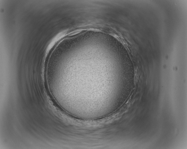 X0000083660006200702261153