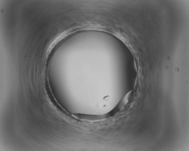 X0000083660007200702261153