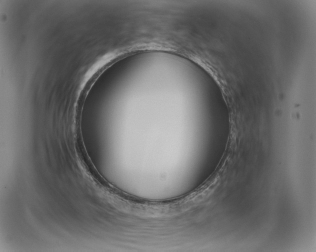 X0000083660008200702261153