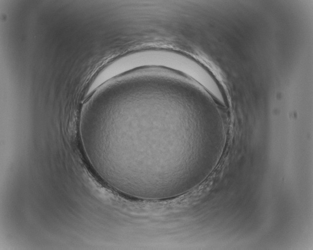 X0000083660009200702261153