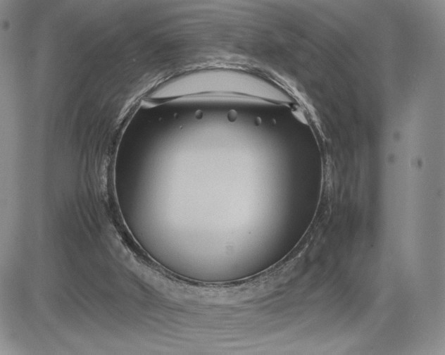 X0000083660010200702261153