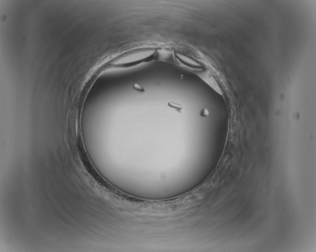 X0000083660011200702261153