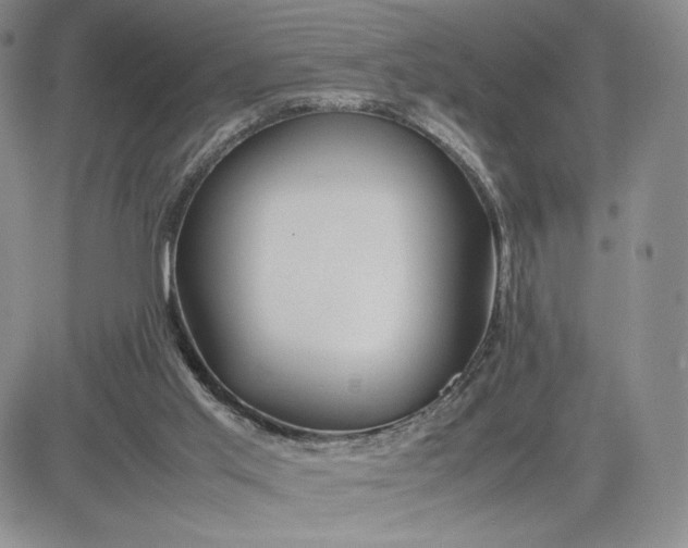 X0000083660013200702261153