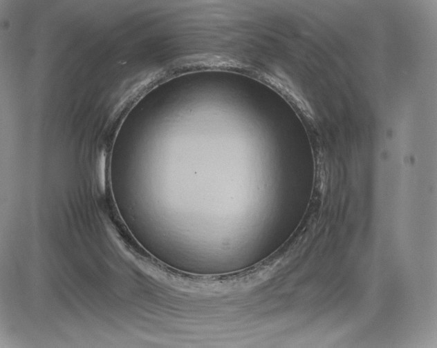 X0000083660014200702261153