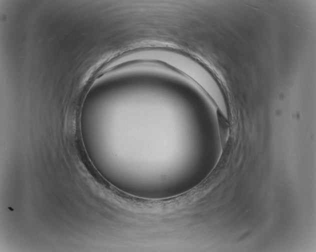 X0000083660015200702261153