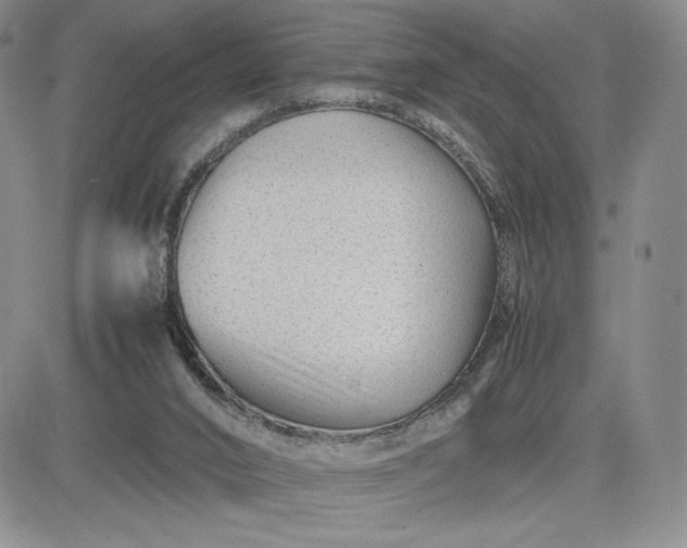 X0000083660016200702261153