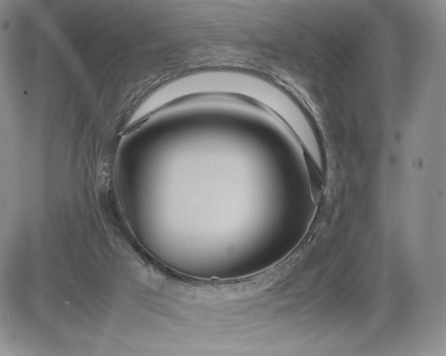 X0000083660017200702261153