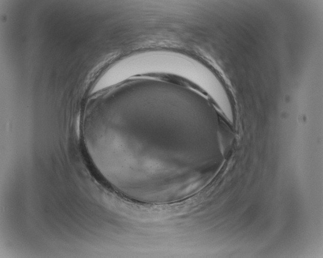 X0000083660019200702261153