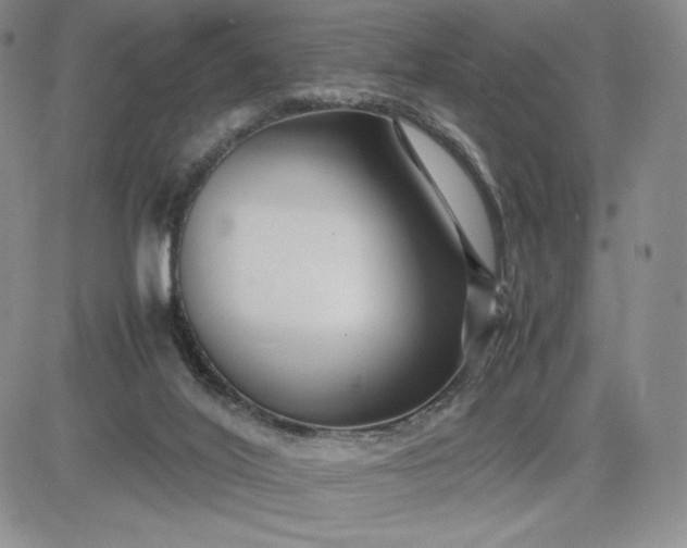 X0000083660020200702261153