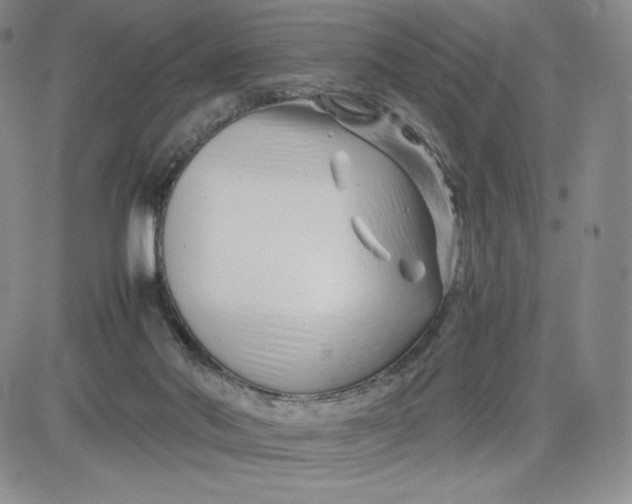 X0000083660022200702261153