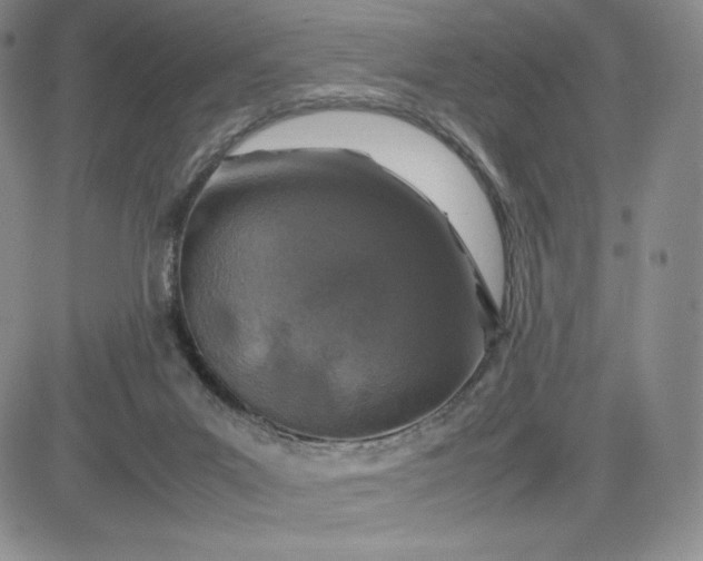 X0000083660023200702261153