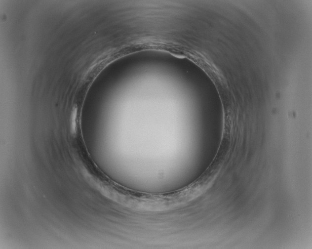 X0000083660024200702261153