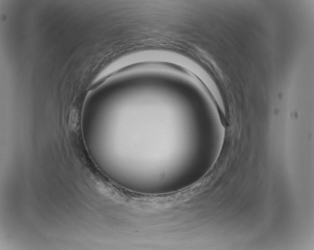 X0000083660025200702261153