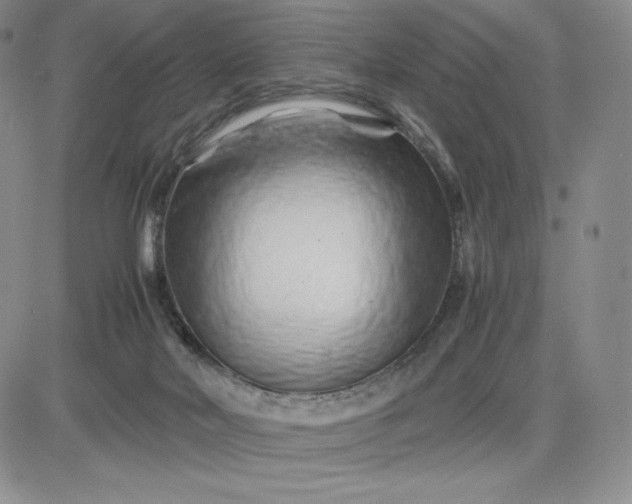 X0000083660026200702261153