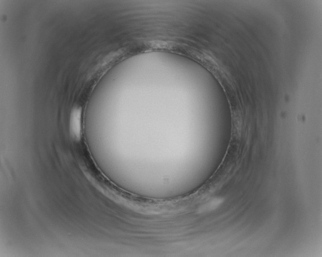 X0000083660028200702261153