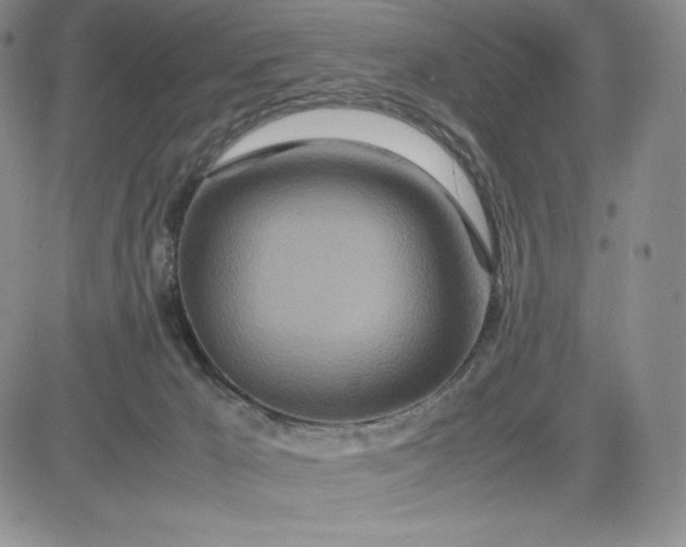 X0000083660029200702261153