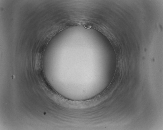 X0000083660030200702261153