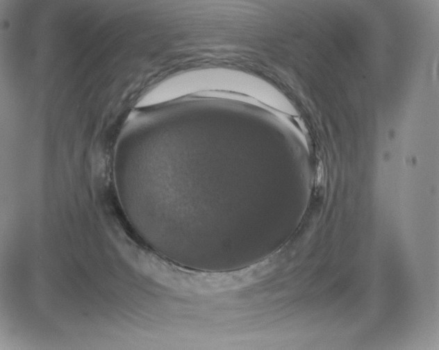 X0000083660031200702261153