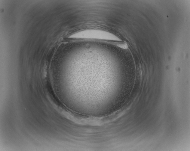 X0000083660032200702261153