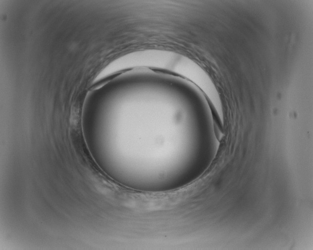 X0000083660033200702261153