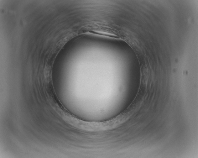 X0000083660034200702261153