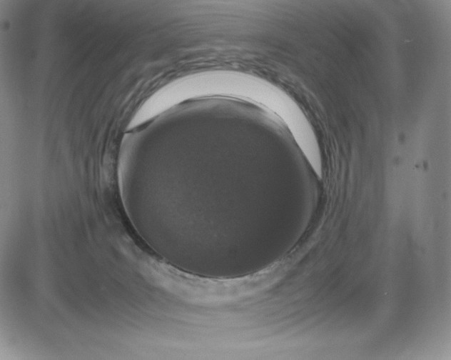 X0000083660035200702261153