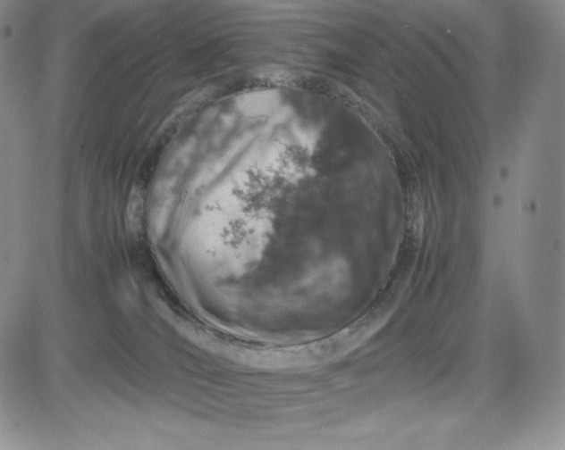 X0000083660036200702261153