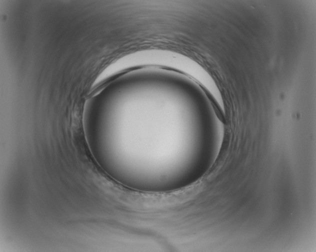 X0000083660037200702261153