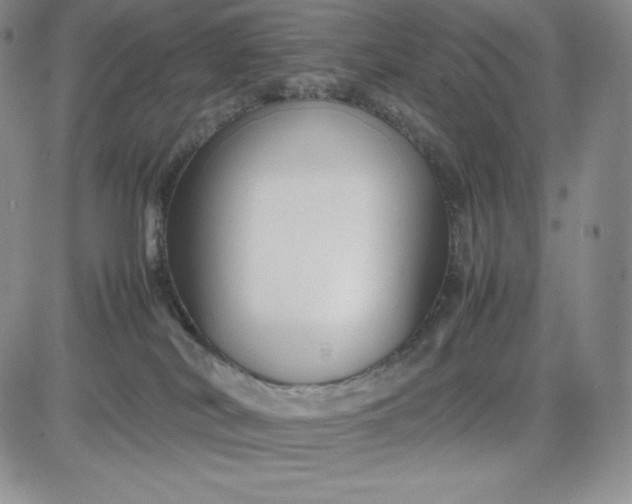 X0000083660038200702261153