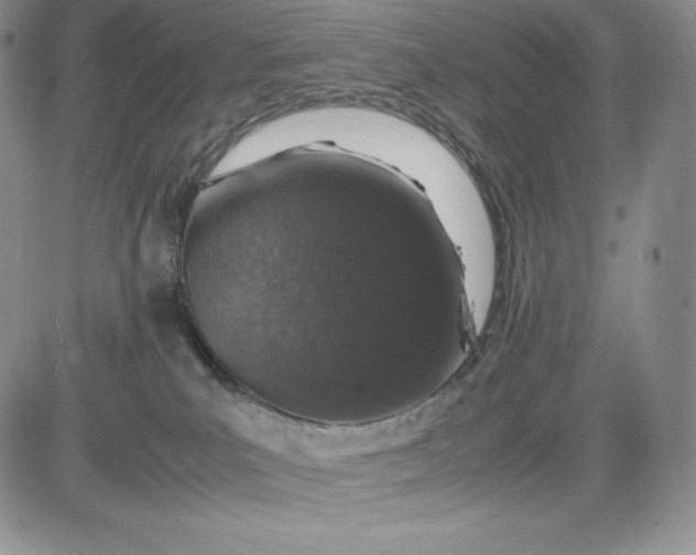 X0000083660039200702261153