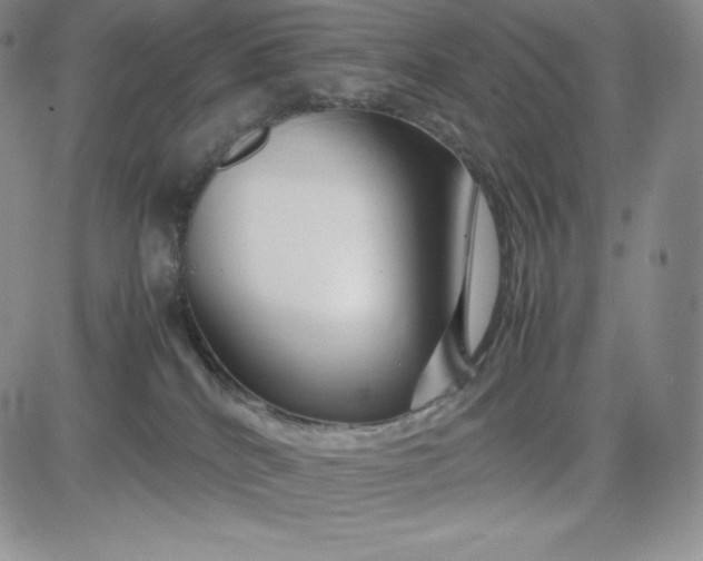 X0000083660040200702261153