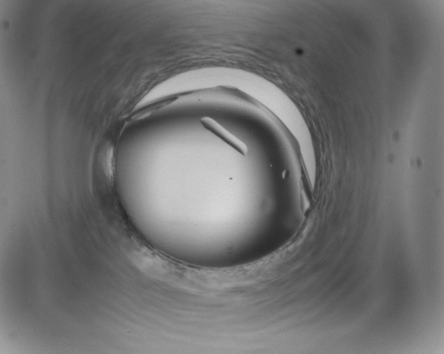 X0000083660041200702261153