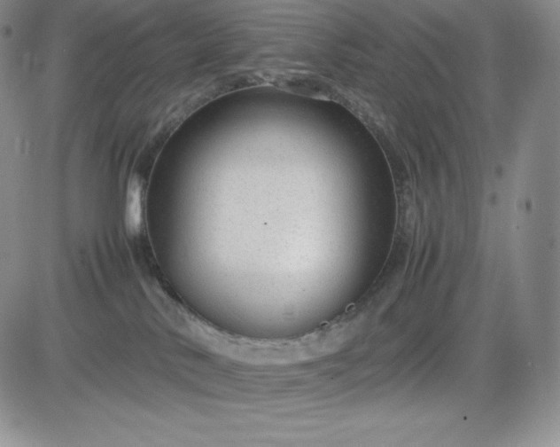 X0000083660042200702261153